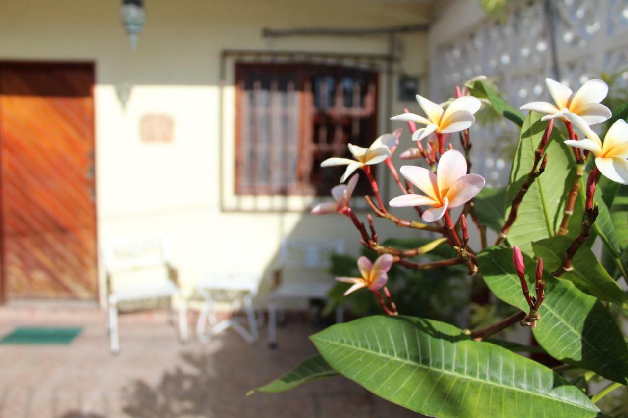 Cancun Guest House エクステリア 写真